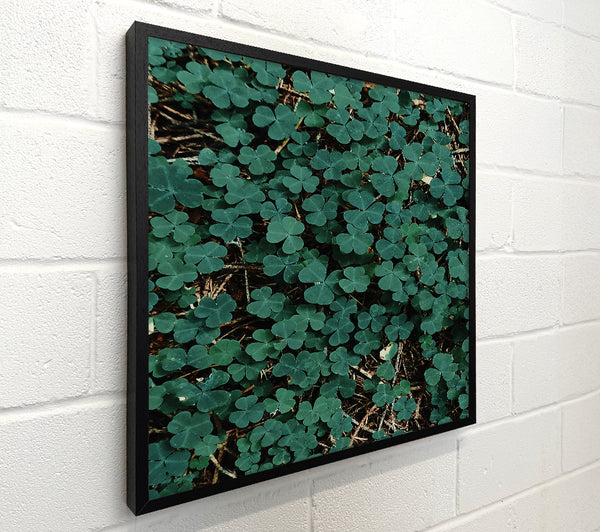 Emerald Clover Carpet