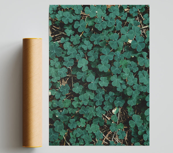 Emerald Clover Carpet Poster