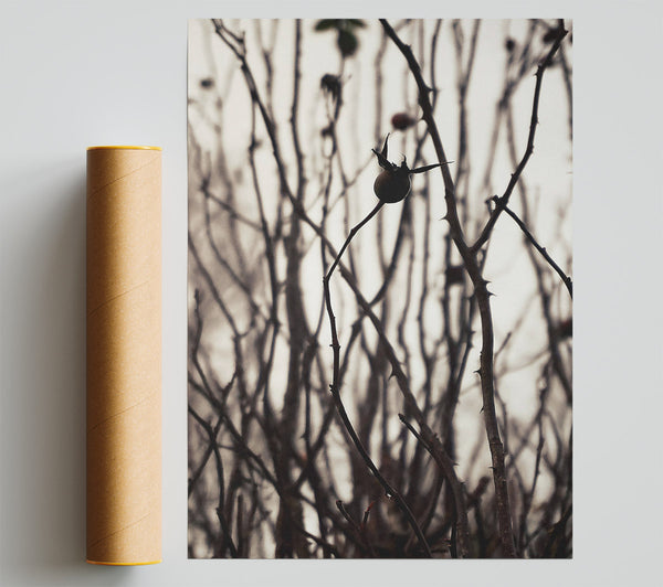 Grey Branch Solitude Poster