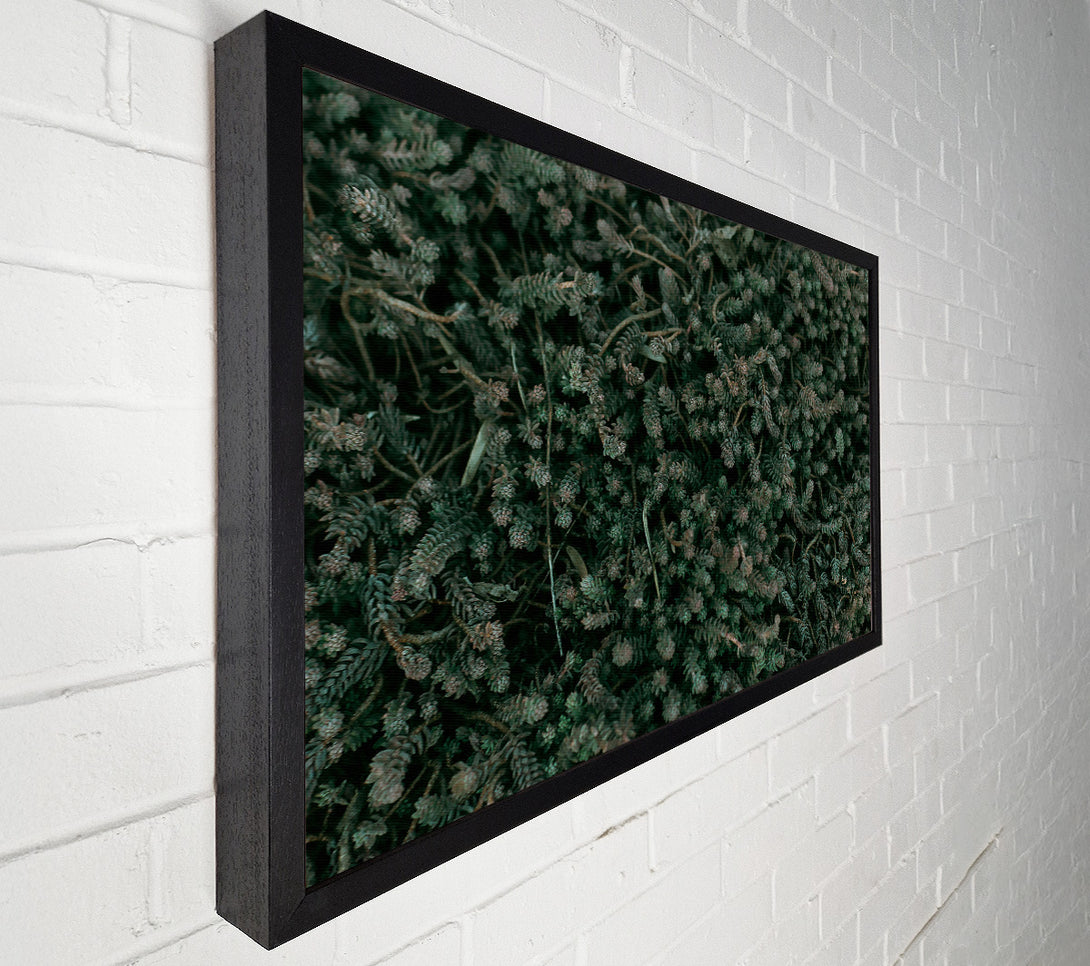  A Canvas Print of Emerald Forest Floor Canvas Art