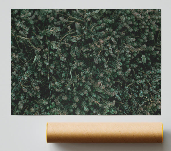 Emerald Forest Floor Print