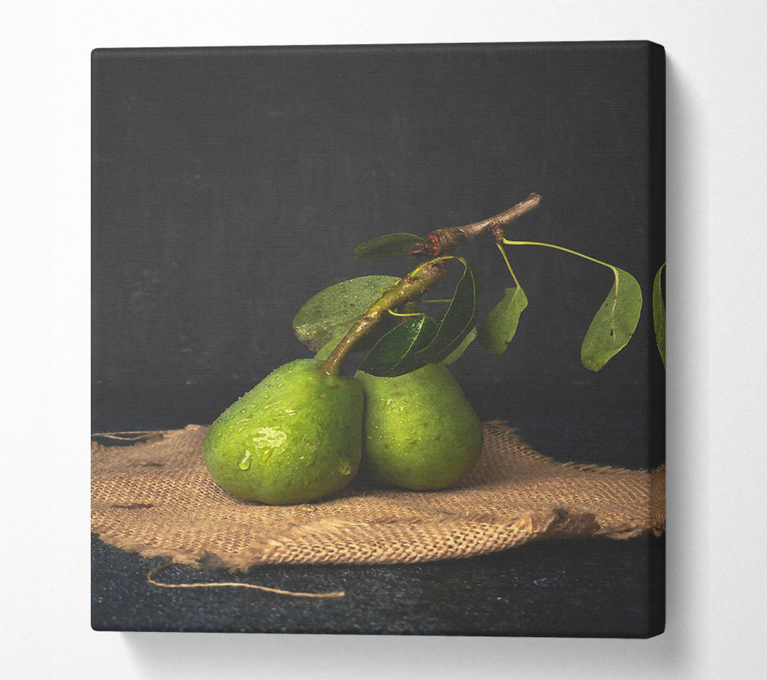  A Canvas Print of Green Pears On Burlap Canvas Print