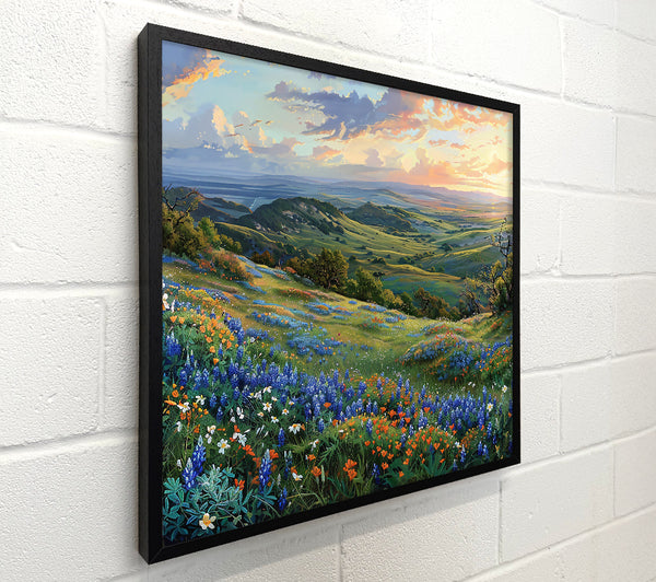 Bluebonnet Hillside Sunset