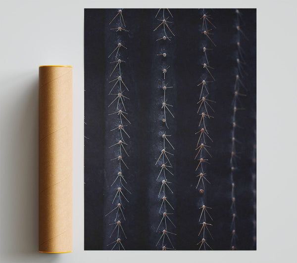 Midnight Cactus Ribs Giclee Print