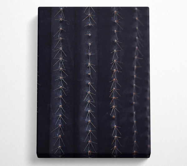  A Canvas Print of Midnight Cactus Ribs Canvas Wall Art