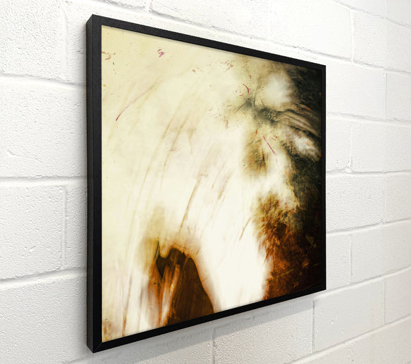Whitish Brown Abstract