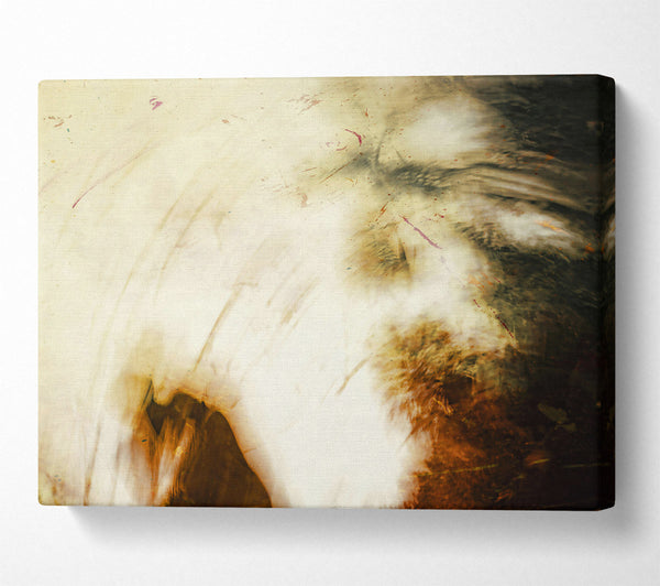  A Canvas Print of Whitish Brown Abstract Canvas Wall Art