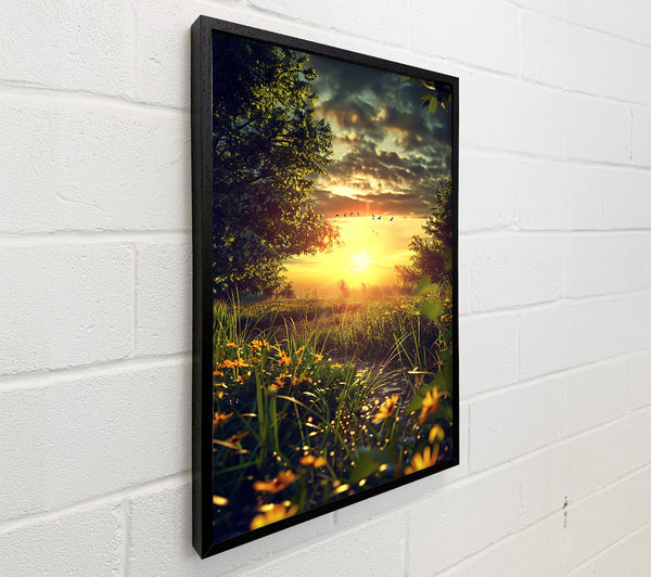 Golden Sunset Stream