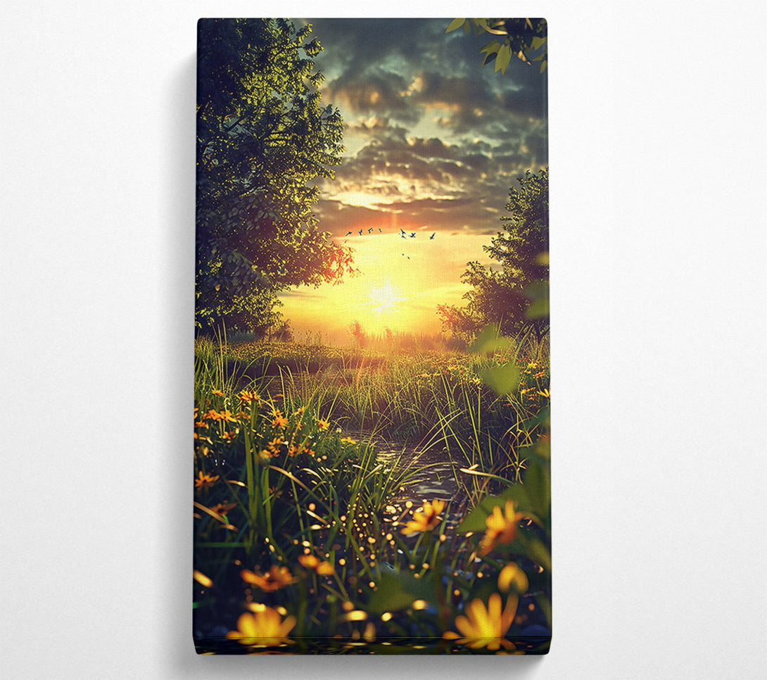  A Canvas Print of Golden Sunset Stream Canvas Print