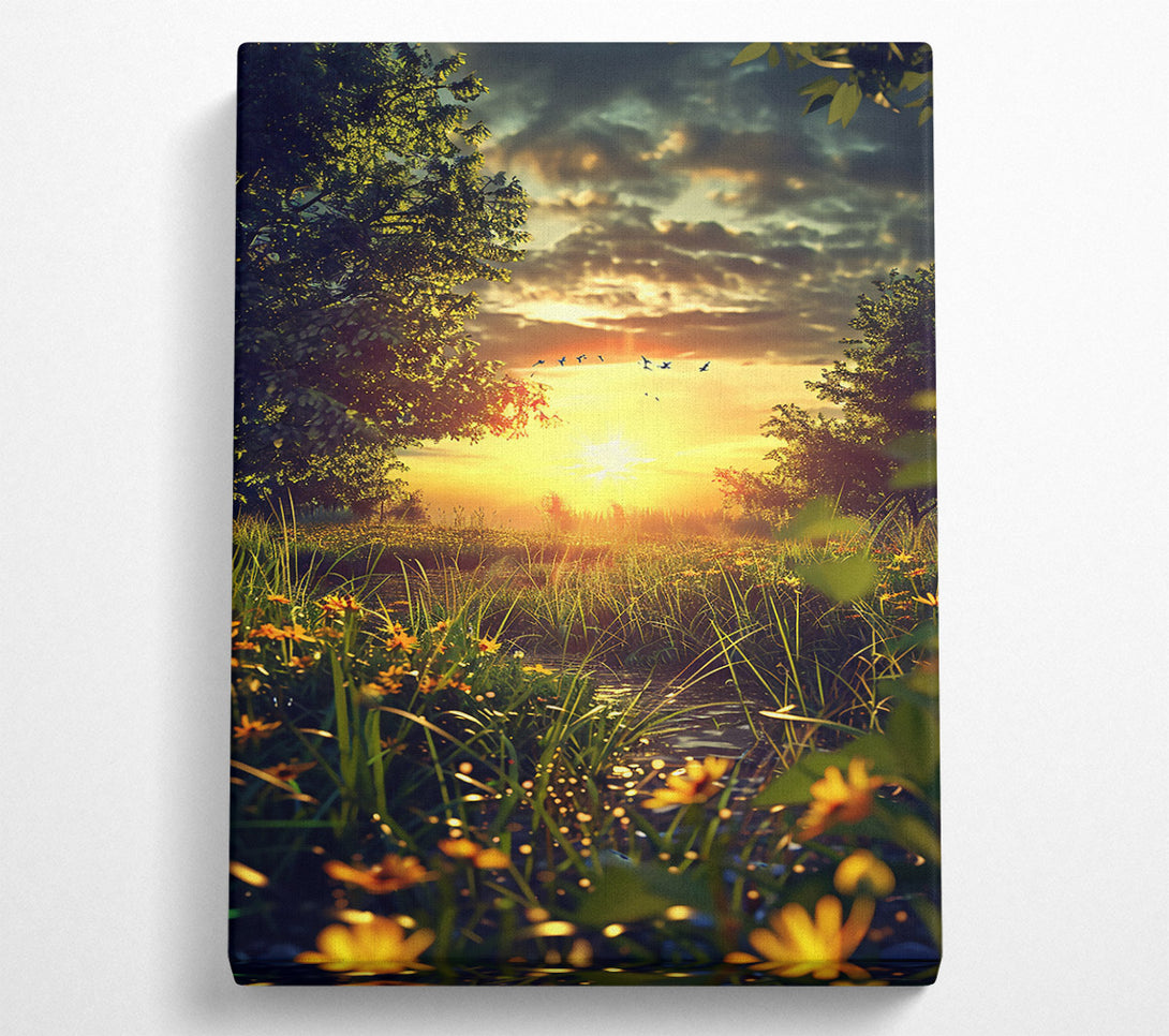  A Canvas Print of Golden Sunset Stream Canvas Print