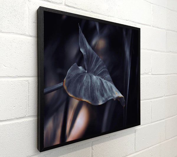 Dusky Grey Leaf