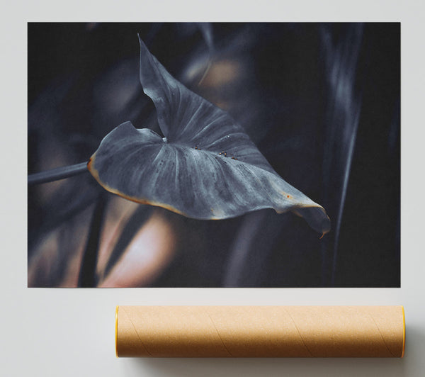 Dusky Grey Leaf Giclee Print