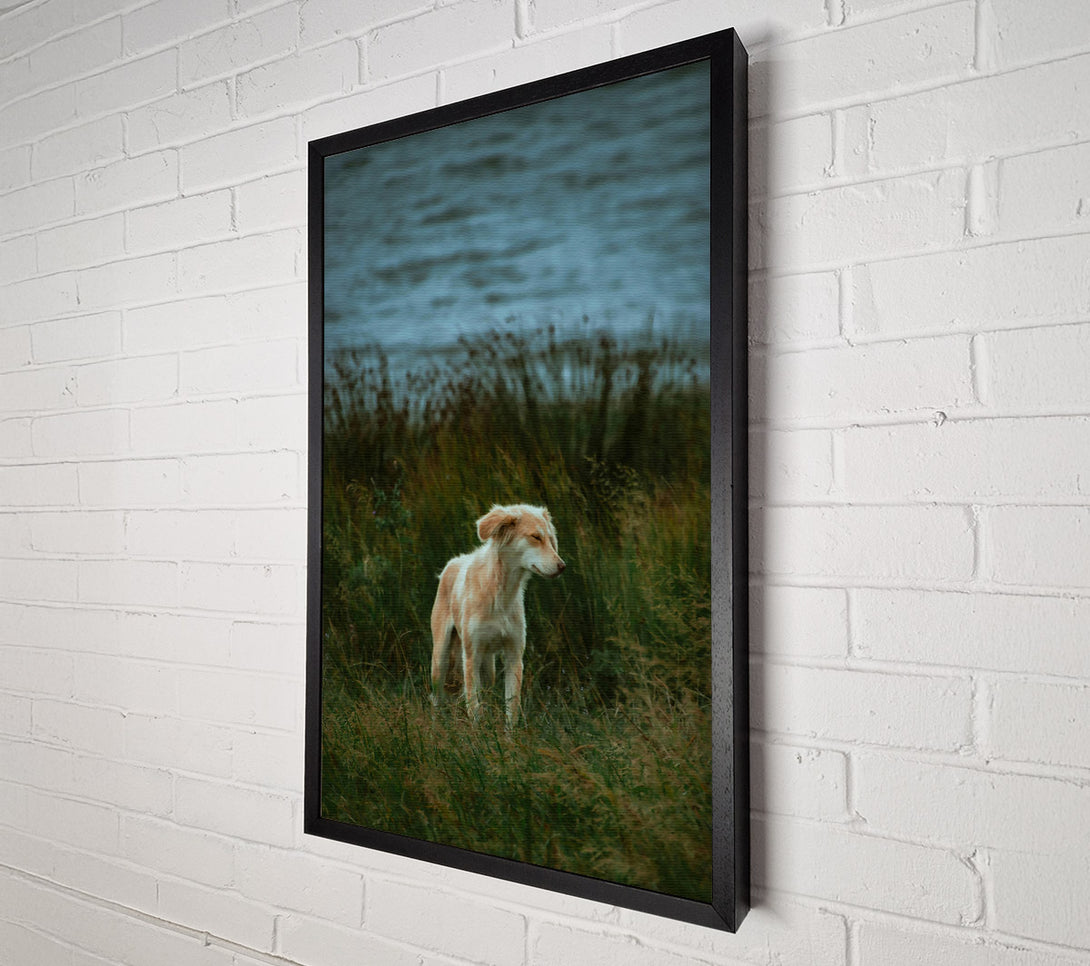  A Canvas Print of Golden Pup In The Grass Canvas Print