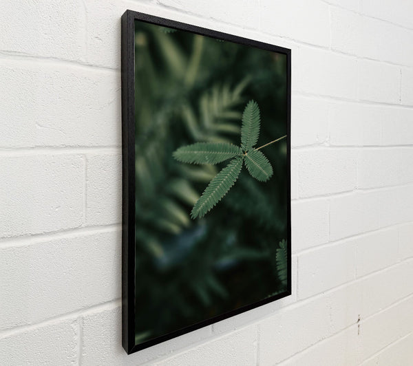 Emerald Green Tendrils