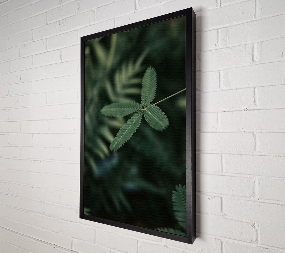  A Canvas Print of Emerald Green Tendrils Canvas Print