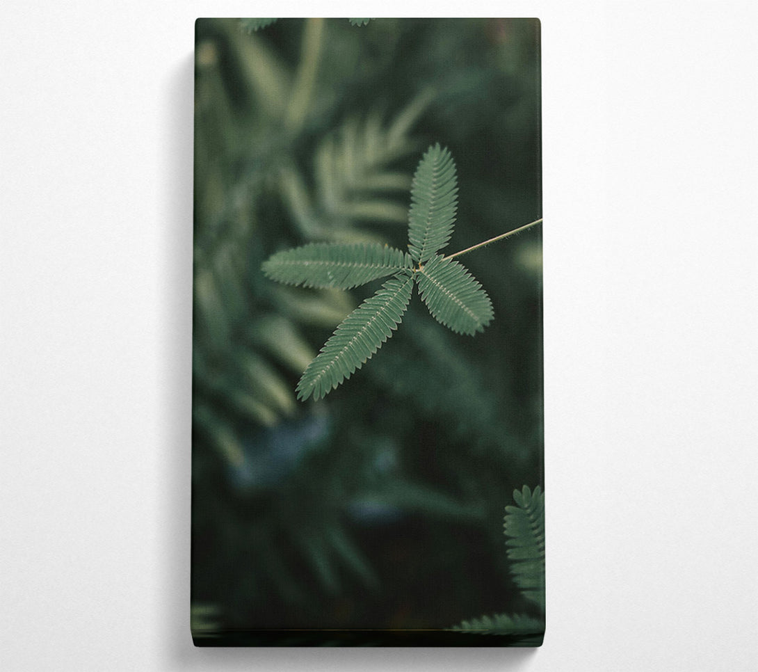  A Canvas Print of Emerald Green Tendrils Canvas Print
