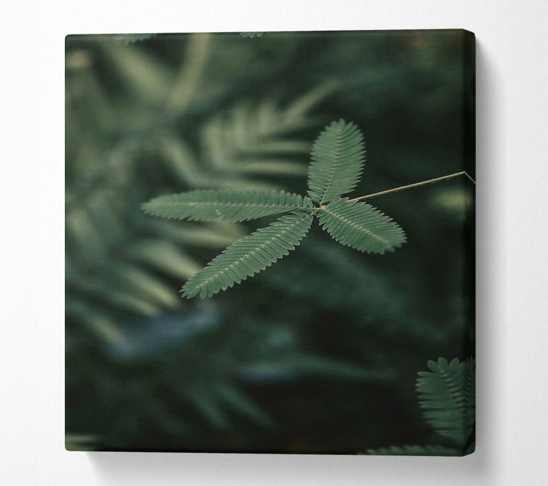  A Canvas Print of Emerald Green Tendrils Canvas Print