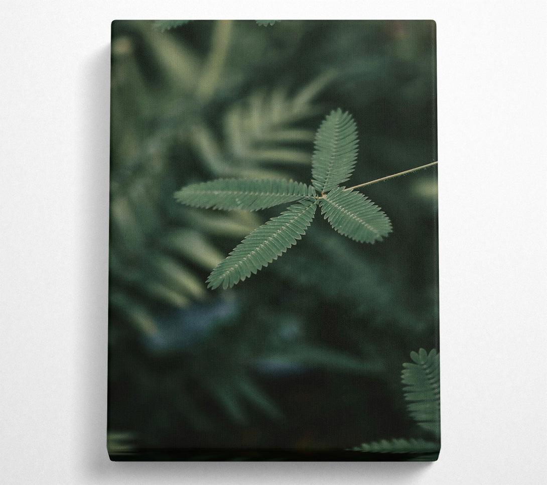  A Canvas Print of Emerald Green Tendrils Canvas Print