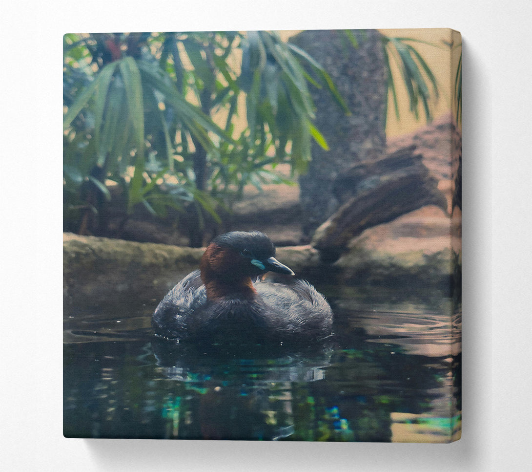  A Canvas Print of Azure Waterfowl Tranquility Canvas Wall Art