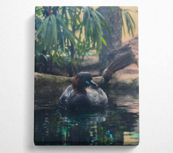  A Canvas Print of Azure Waterfowl Tranquility Canvas Wall Art