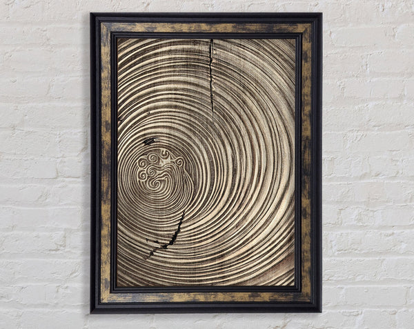 Gold And Brown Circles Framed Print