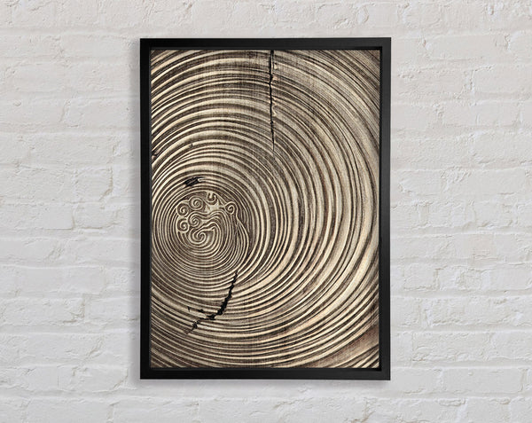Gold And Brown Circles Framed Print