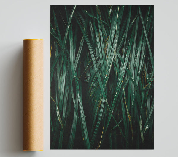 Emerald Blades Of Grass Print