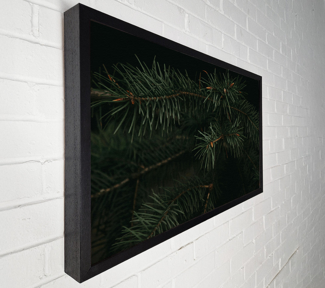  A Canvas Print of Emerald Evergreen Branches Canvas Wall Art
