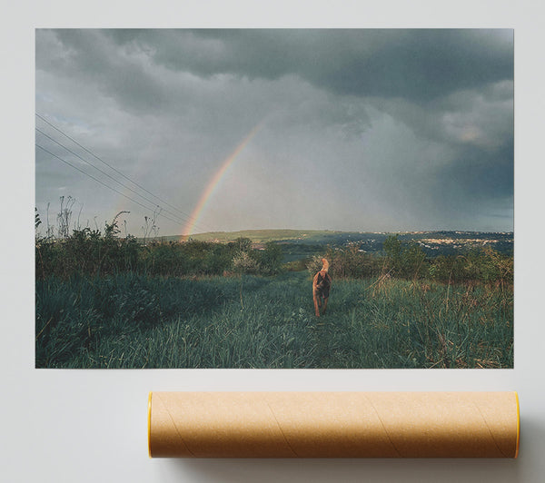 Green Field Rainbow Walk Poster