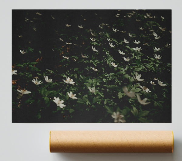 Green And White Bloom Print