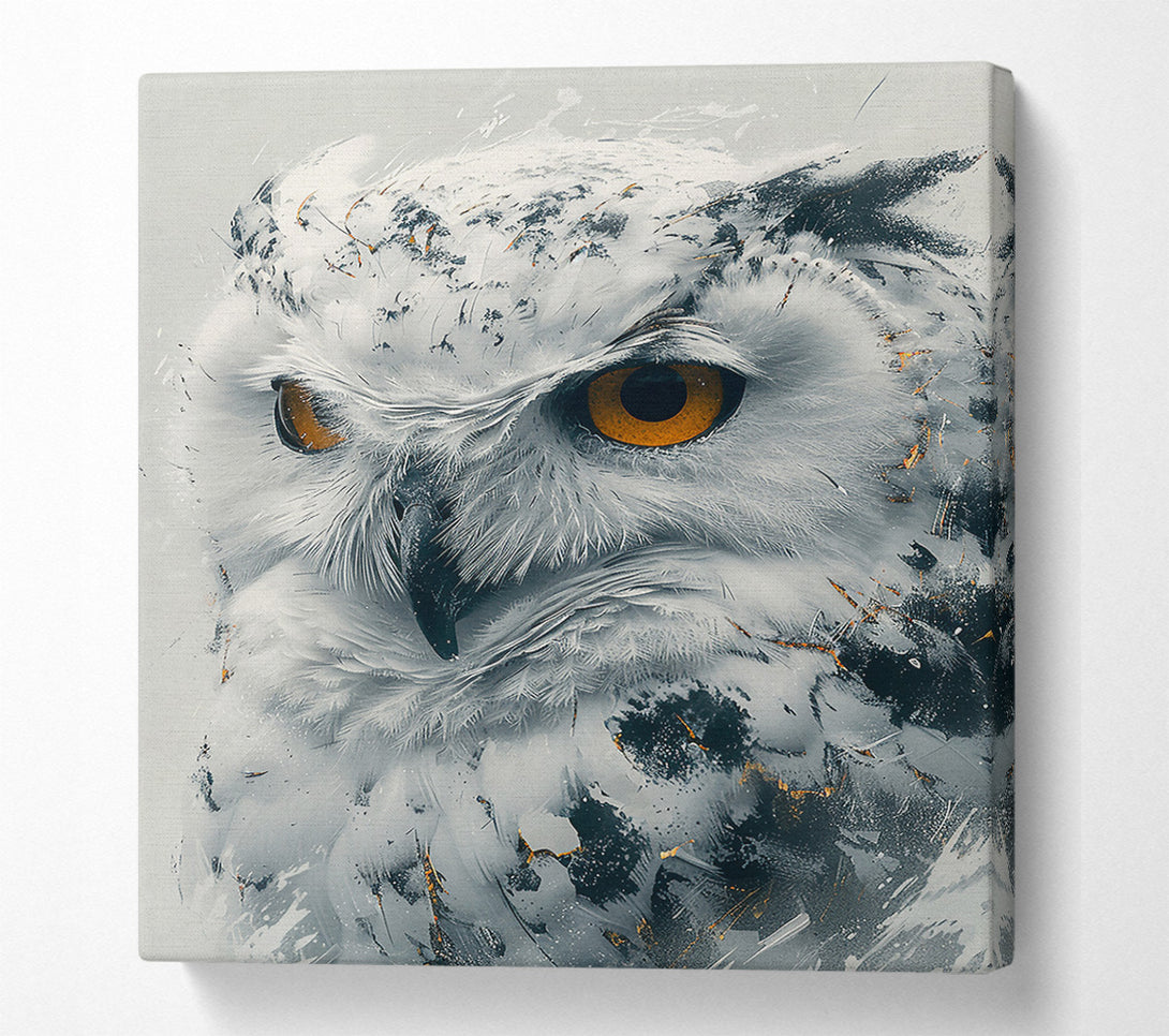  A Canvas Print of Golden Owl Gaze Canvas Wall Art