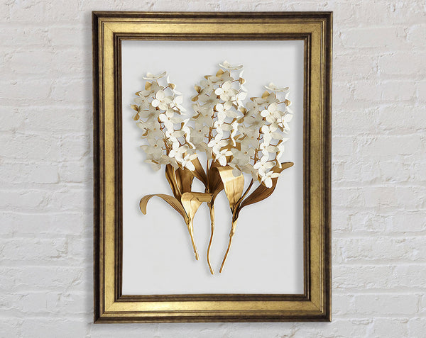 Gold And White Flowers Framed Print