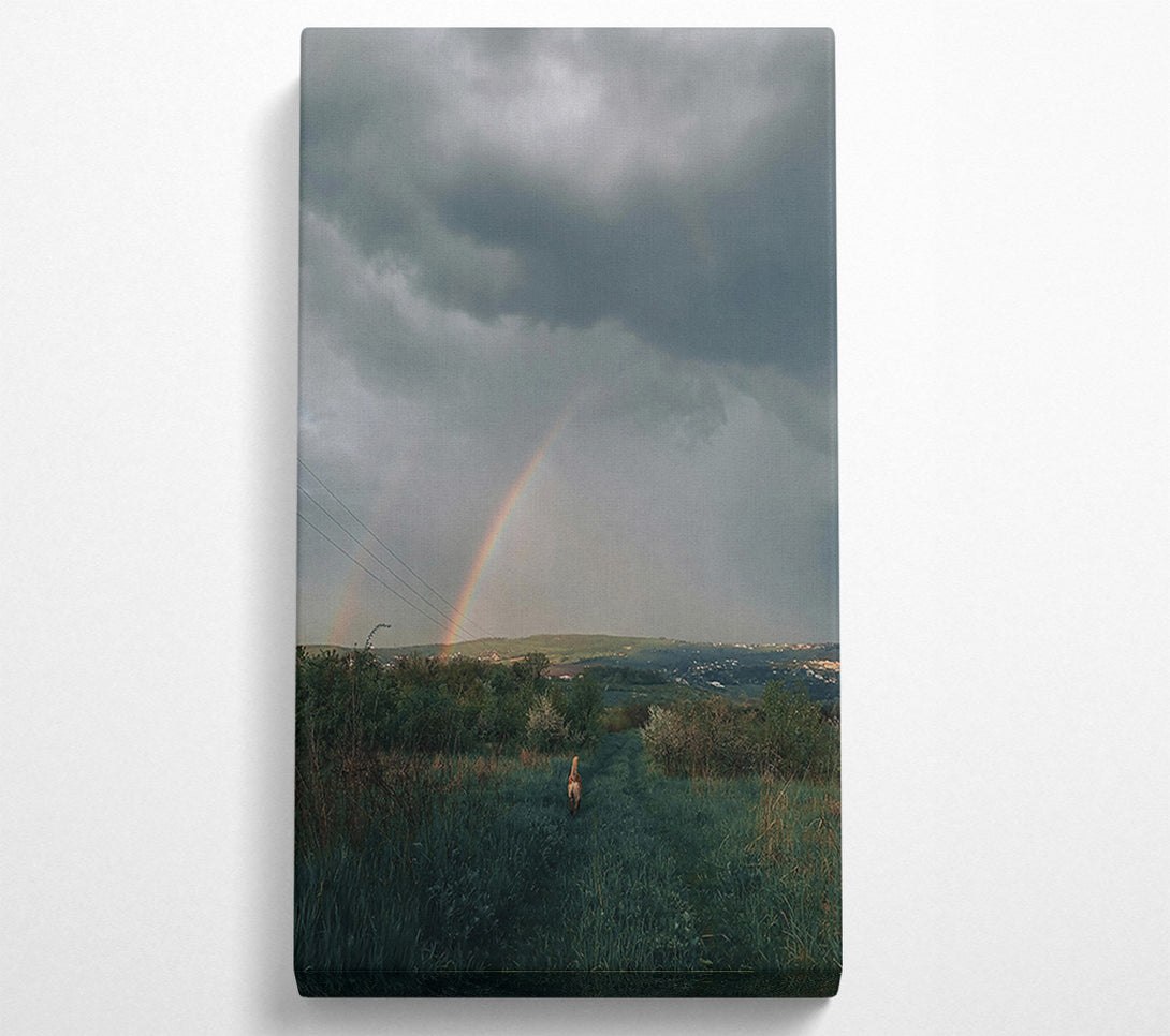  A Canvas Print of Grey Sky Double Rainbow Canvas Print