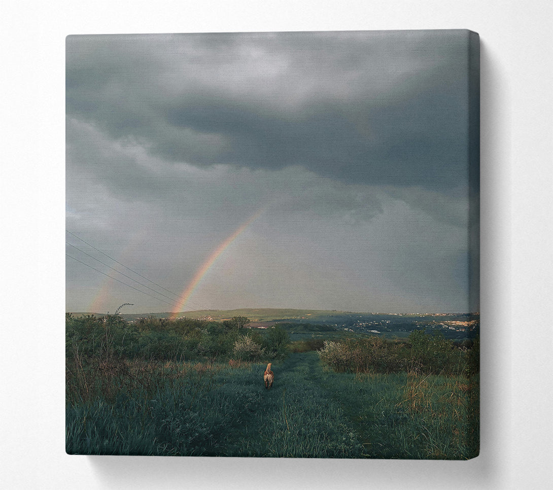  A Canvas Print of Grey Sky Double Rainbow Canvas Print