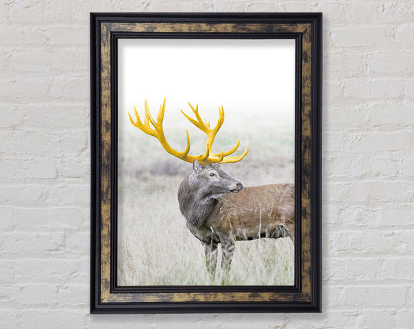Gold Antler Deer Framed Print
