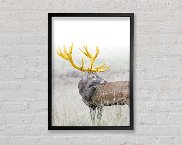 Gold Antler Deer Framed Print