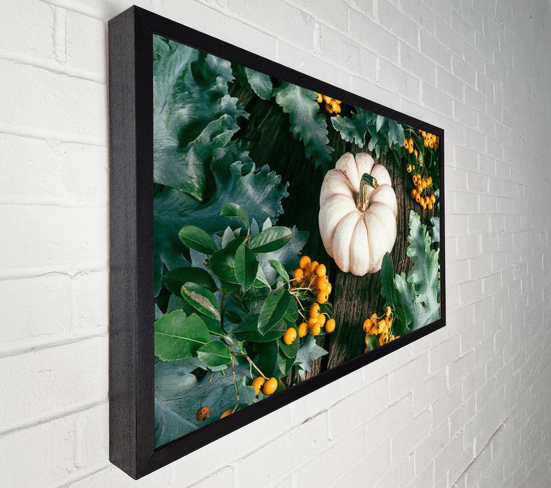  A Canvas Print of White Pumpkin Harvest Canvas Art