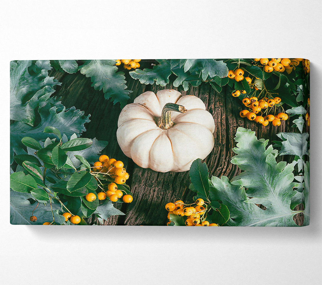  A Canvas Print of White Pumpkin Harvest Canvas Art