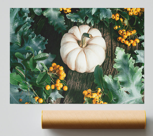 White Pumpkin Harvest Poster