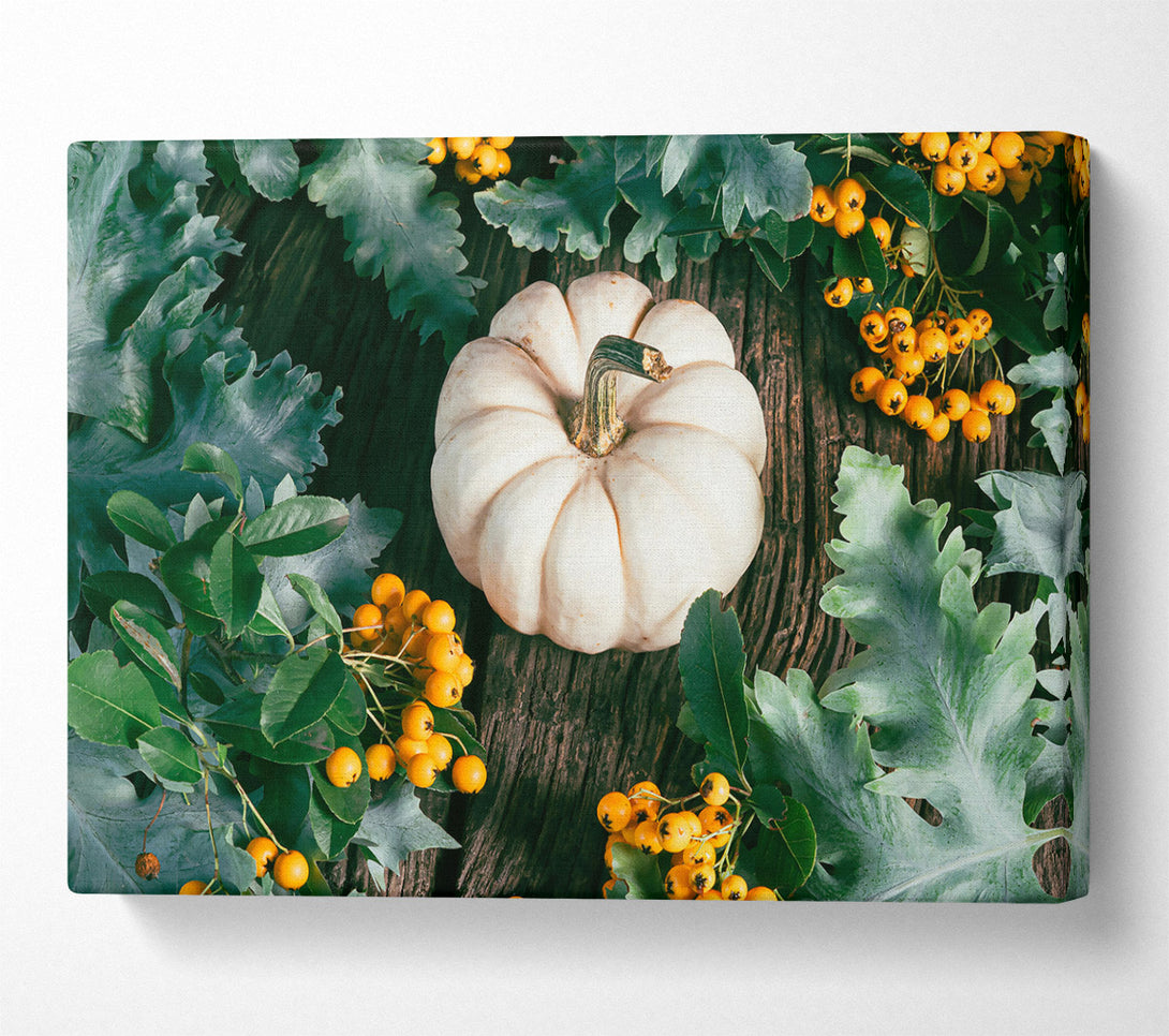  A Canvas Print of White Pumpkin Harvest Canvas Art