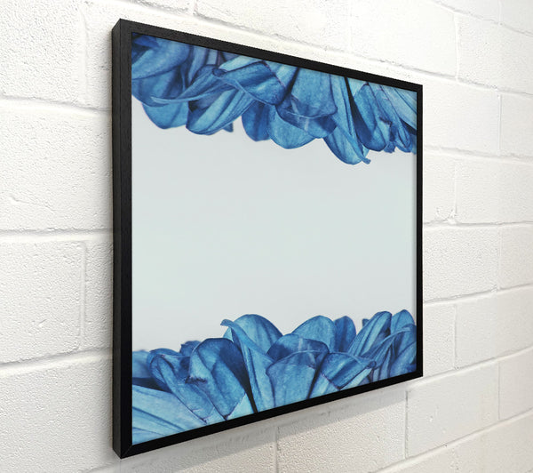 Azure Petals Embrace