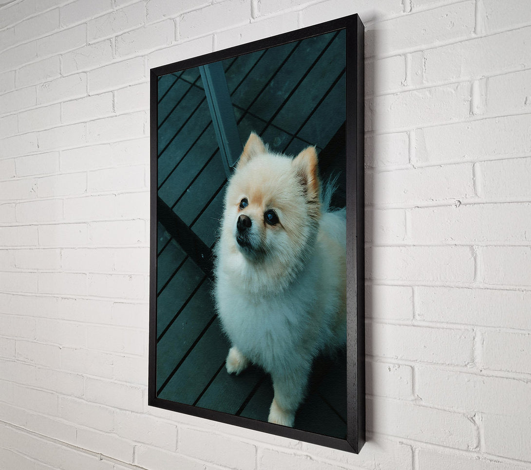  A Canvas Print of Teal Furry Friend Canvas Wall Art