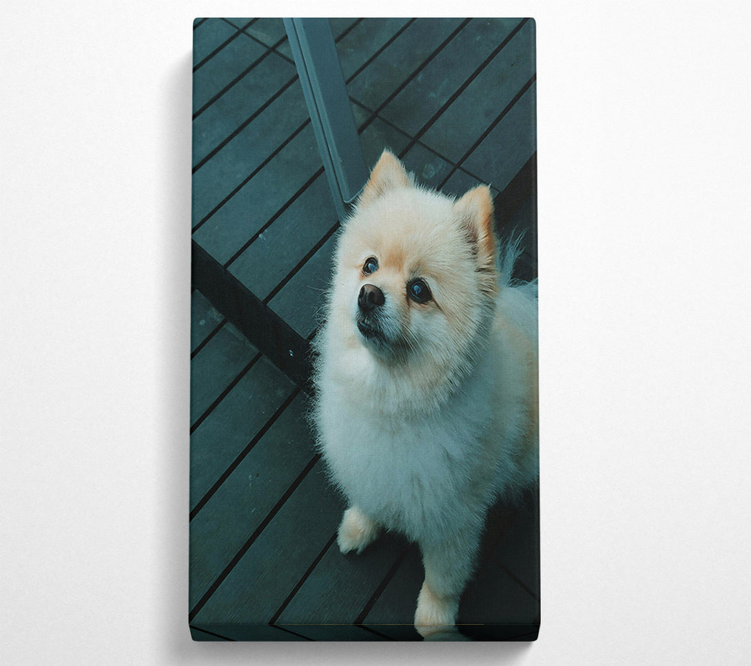  A Canvas Print of Teal Furry Friend Canvas Wall Art