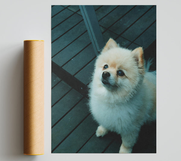 Teal Furry Friend Print