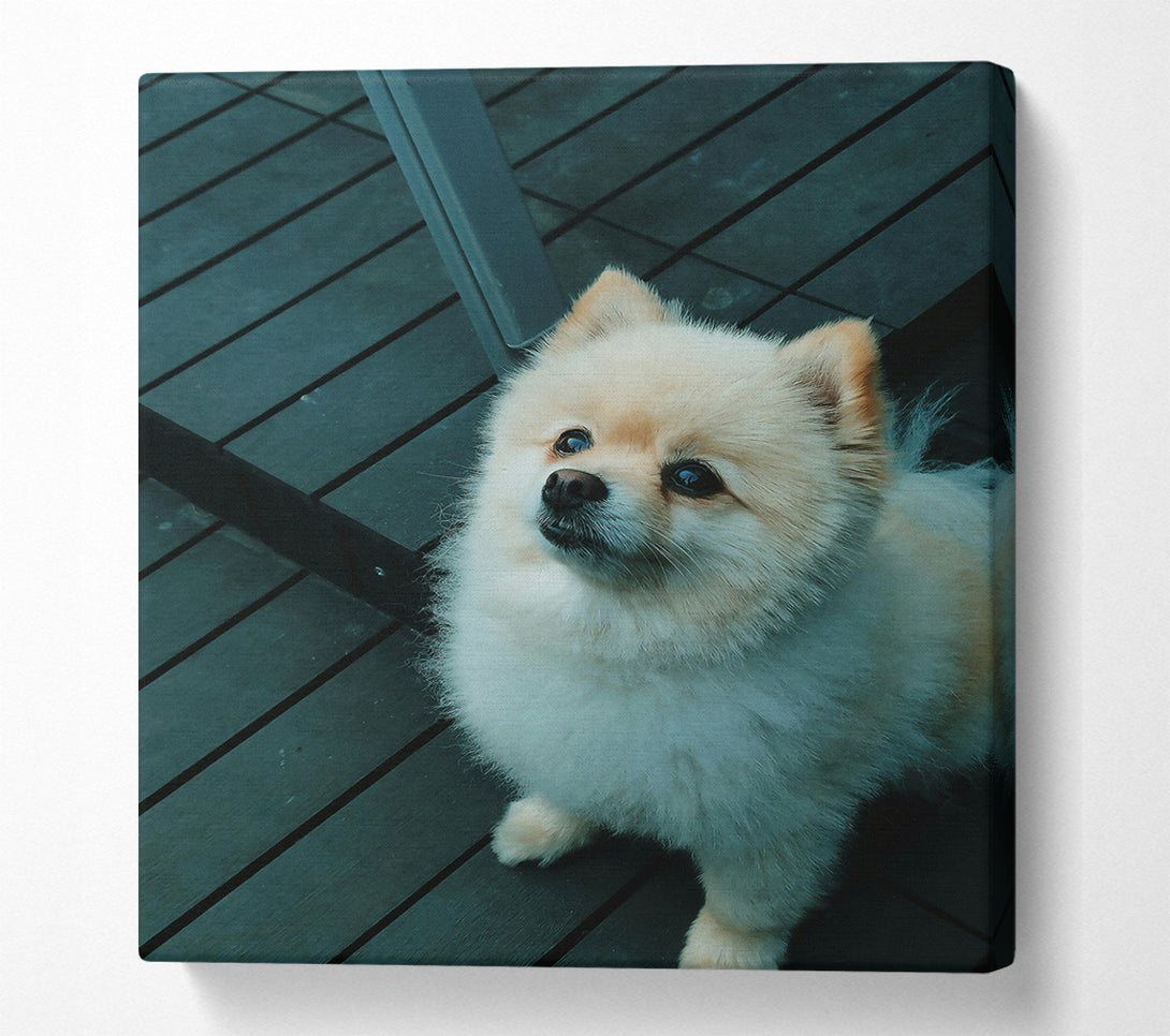  A Canvas Print of Teal Furry Friend Canvas Wall Art