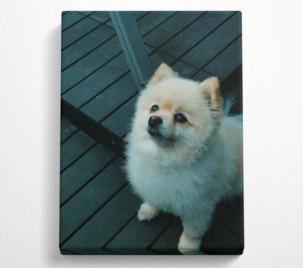  A Canvas Print of Teal Furry Friend Canvas Wall Art