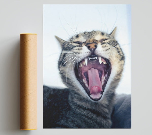 Pink Cat Yawning Poster