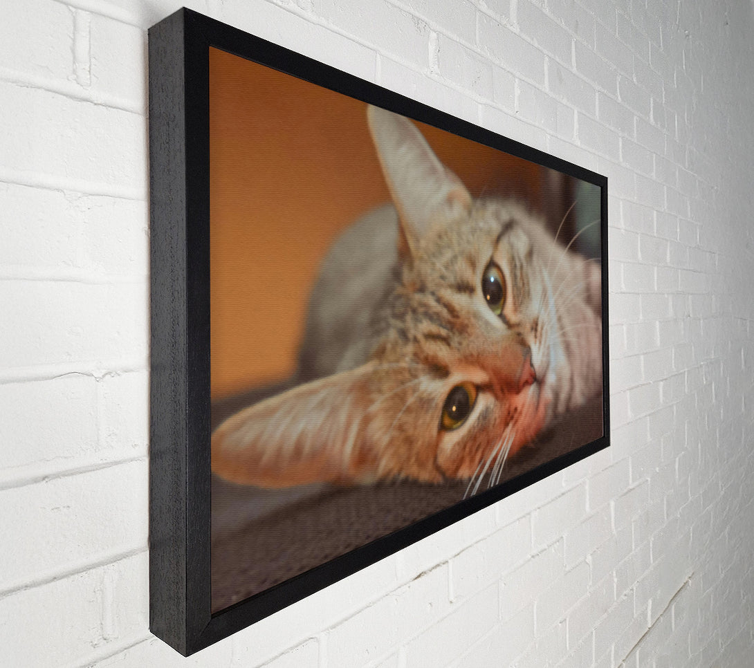  A Canvas Print of Golden Eyes Slumber Canvas Art