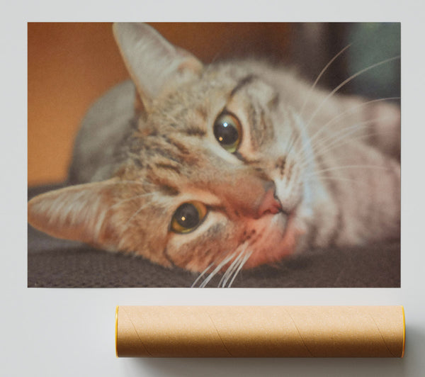 Golden Eyes Slumber Giclee Print