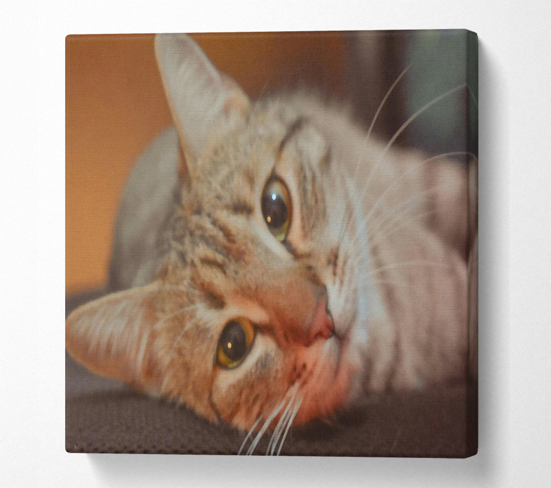  A Canvas Print of Golden Eyes Slumber Canvas Art